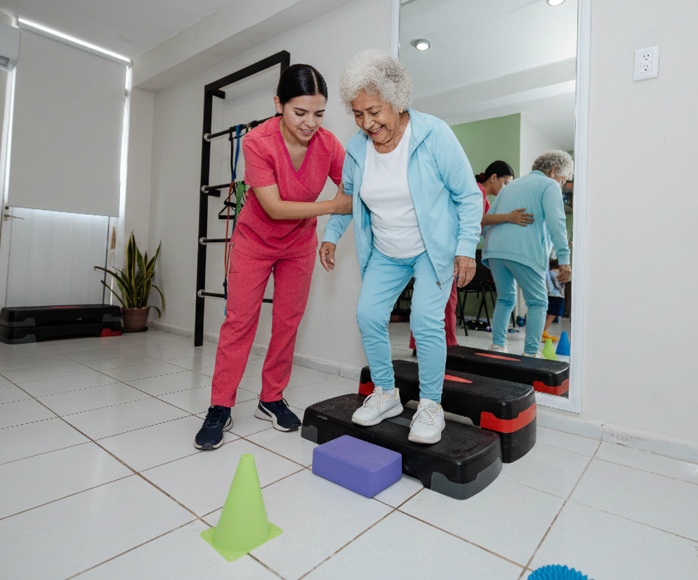 Fisioterapia Geriátrica